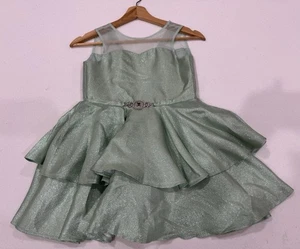 Disney’s Tiana Fancy Dress, limited edition - Princess and the Frog - Size 5/6 - Picture 1 of 16