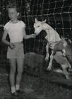 1957 Photo de presse Patty Fox avec des chèvres à la ferme animalière Harold Fox à New York