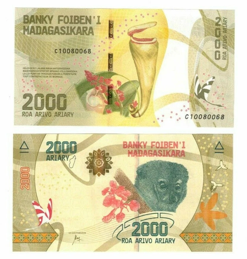 2017 Madagascar P101 2000 Ariary banknote UNC "Madagascar and its Riches" Issue - Image 1 of 1