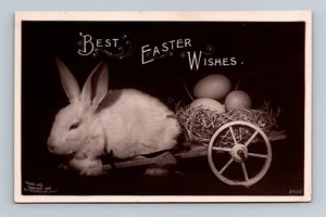 Best Easter Wishes - Bunny With a Cart and Eggs c.1908 Real Photo Postcard RPPC - Picture 1 of 2