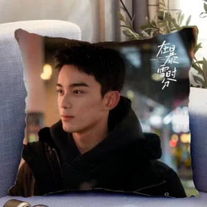 Ammidst a Snowstorm of Love Wu lei cuscino camera da letto 40*40 cm - Foto 1 di 1