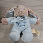  DanDee My First Bunny Rabbit Plush Blue Brown Tan 7" Stripe Bow Rattle Baby Toy