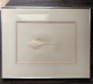 Embossed Print “Venus Comb Murex” – Seashell Art – Private Gallery. (D30) - Picture 1 of 6