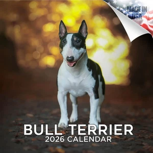 BULL Terrier Wandkalender 2026 Tier HUND HAUSTIER Liebhaber Geschenk Rasse - Bild 1 von 2