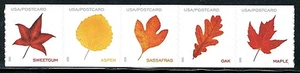 Mint US Strip of 5 Postcard Vibrant Leaves Stamps , Scott# 5971--5975 (MNH) - Picture 1 of 1