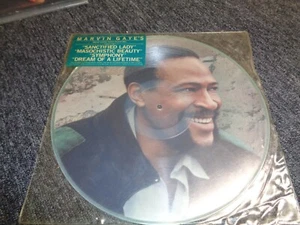 Marvin Gaye - SPECIAL LIMITED EDITION PICTURE DISC 1985 RARE - Picture 1 of 4