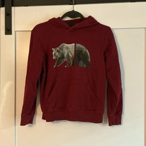 The North Face Bear On The Mountain Pullover Hoodie Youth Size Large Maroon - Picture 1 of 7