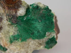 CHATOYANT MALACHIT & FLUORESCENT CALCITE - 6,8 cm - BISBEE, ARIZONA 26764 - Bild 1 von 8