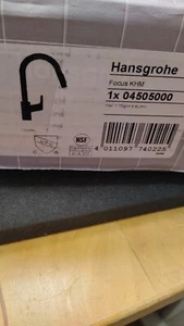 New Hansgrohe 04505000 Focus Chrome-Polished Pull-Down Kitchen Faucet Assembly - Picture 1 of 5