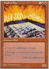 MTG magic cards 2x x2 Light Play, English Wall of Fire 5th Edition