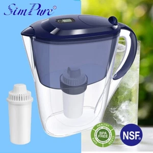 Water Filter Pitcher Jug BPA Free Drinking Purifier 1xFilter 2.6L Large Capacity - Picture 1 of 12