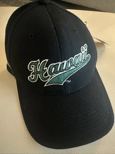 NUEVO Coliseo Hawaii Sombrero Gorra Ajustable Rainbow Warriors - Imagen 1 de 8