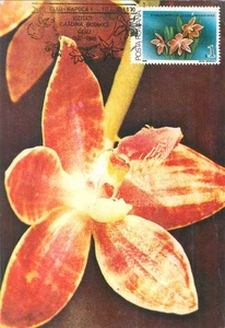 E0046 Maxikarte Rumänien Orchidee Blumen & Pflanzen - Bild 1 von 2