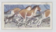 1962 Brooke Bond Asian Wild Life Tea Kiang #40 1i3