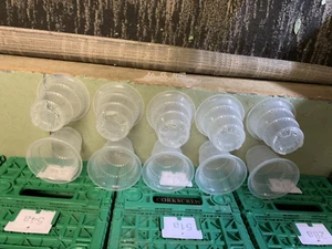 10 X Clear Orchid Pots with Holes Breathable Plant Flower Pots (45B ) - Picture 1 of 10
