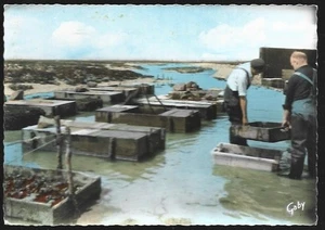 CPSM  --  LINVERVILLE . PECHERIES ET VIVIERS A PALOURDES ET PRAIRES . 078.L - Imagen 1 de 1