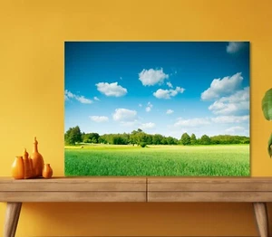 Green Field & Trees with Blue Sky 5mm thick Plastic Poster Ready to Hang 60x45cm - Picture 1 of 3