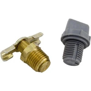 Raypak 006721F Drain Plug - Picture 1 of 3