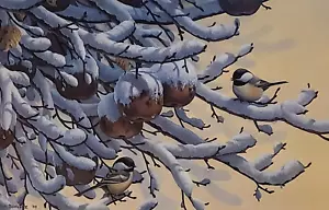 Dicembre Frutteto Firmato Edizione Limitata Stampa di Tim Schultz - Chickadee - Ponte - Foto 1 di 1