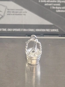 Sterling Silver Champagne in Bucket Charm Professionally Cleaned Gift - Picture 1 of 4