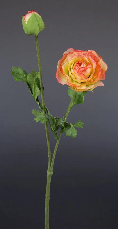 SEIDENBLUMEN ROß Ranunkelzweig 48cm rosa-creme CG Kunstblumen künstliche Blumen Ranunkel