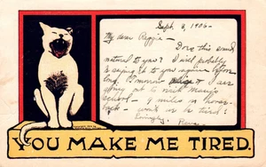 Tarjeta postal vintage de Comic Cat You Make Me Cansado de 1906 - Imagen 1 de 2