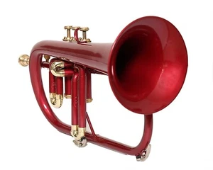Pro Flugelhorn Bb KEYS FREE HARD CASE & MOUTHPIECE-Red & Brass - Picture 1 of 5