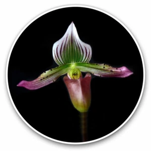 2 x Vinyl Stickers 20cm - Pretty Orchid Flower Garden Cool Gift #2135 - Afbeelding 1 van 9