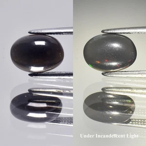 π 0.92ct 9x6.5mm Oval Cabochon Natural Black Opal - Color Flash, Ethiopia Gem - Picture 1 of 6