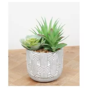 Artificial Green Succulent Plant Arch Pattern Pot Decorative Homeware BIGW -CP - Picture 1 of 1