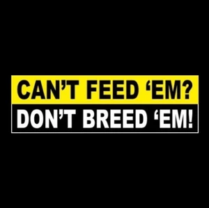 "KANN SIE NICHT FÜTTERN? DON'T BREED 'EM!" Anti Welfare Liberal Hillary BUMPER STICKER  - Bild 1 von 1
