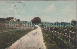 Pine Bush NY - ESCENA AGRÍCOLA FUERA DEL PUEBLO - Postal Condado de Orange - Imagen 1 de 2