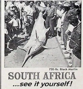 1963 South African Tourist Corp Free Big Fishing Brochure Vintage 60s Print Ad - Picture 1 of 2