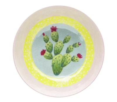 Zak Designs ~ Cuatro (4) Melamina ~ Diseño de Cactus de Verano ~ Cuencos de 8" x 2.25" Foto 1 de 4