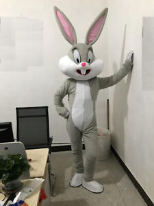 Costumes professionnels de mascotte lapin de Pâques lapin et insectes mascotte adulte pour
