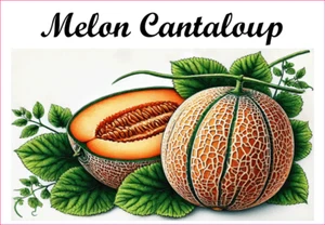 Melon Cantaloup 12 sticker vinyle conserve fruit légume confiture fait maison - Picture 1 of 13