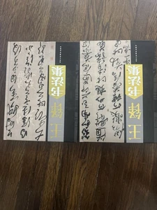 八大山人書法集 上下冊 簡體中文版 Chinese Book Set of 2 Collection Calligraphy Limited Edition - Picture 1 of 3