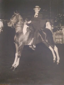 Saddlebred - Dapper Young Man Riding English Original 1950's Horse Photo - Picture 1 of 1