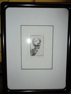 Original Framed Whitetail Deer Head Study Print Engraving  Signed Lyndall 1991 - Picture 1 of 6