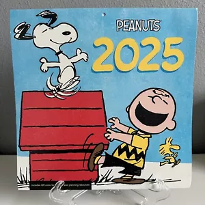 Calendario de Pared DaySpring Peanuts Snoopy & Friends 16 Meses 2025 12" x 12" - Imagen 1 de 2