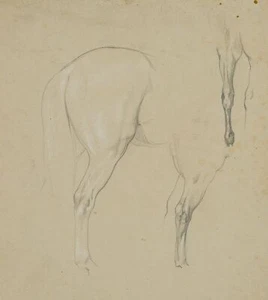 F. LOSSOW (1837-1872), Pferdestudie, Kruppe und Lauf, Bleistift Realismus - Bild 1 von 8