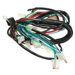 Electric Wiring Harness For Chinese 50cc 70cc 90cc 110cc 125cc ATV Quad Pit Bike - Picture 1 of 9