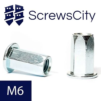 SCREWS CITY BLIND RIVET NUTS HEXAGON SHANK OPEN END FLAT HEAD M6 (6mm Ø) ZINC PLATED