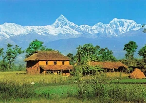 4 Machapuchare & Annapurna Sortiment aus Pokhara, Nepal 4,25 x 5,25 Stck. - Bild 1 von 2
