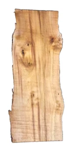 FIGURED MYRTLEWOOD BLANK TURNING CRAFTING WOODWORKING APPROX 22x9x2.25 IN - Picture 1 of 3