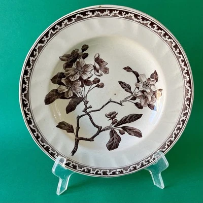 Assiette creuse ancienne faïence Creil et Montereau sepia Terre de fer 23 cm - Photo 1/4