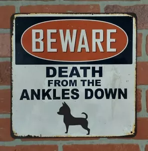 Funny Beware Sign- Chihuahua - Great For The She Shed, Man ,Cave, Garage, Home - Picture 1 of 1