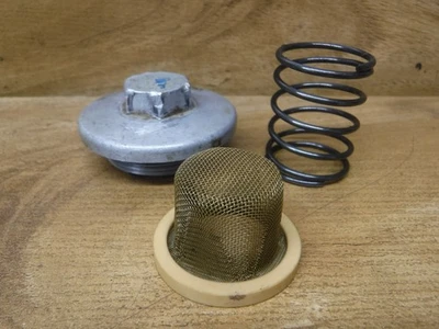 1987 - 2026 Yamaha TT225 TTR225 BW200 OEM CLEAN Oil Filter Screen Strainer W Cap Foto 1 de 4