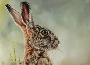 Hare Greeting Card by Alison Armstrong - Blank/Birthday/Art - Wildlife/Animal