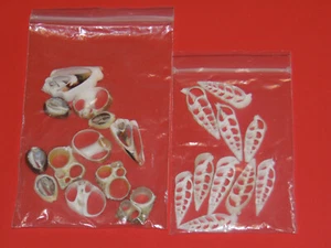 Center Cut Sliced Seashell Assortment Lot of 2 Packs NOS - Picture 1 of 15